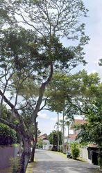 Belmont Road (D10), Detached #476742461